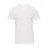 FREE - T-SHIRT 100% COTONE 150GRMQ NOLABEL